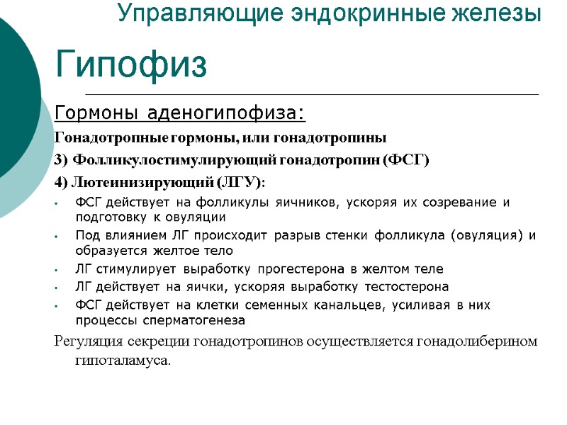 Управляющие эндокринные железы Гипофиз Гормоны аденогипофиза: Гонадотропные гормоны, или гонадотропины 3) Фолликулостимулирующий гонадотропин (ФСГ)